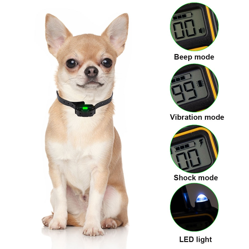Pet Training Collar