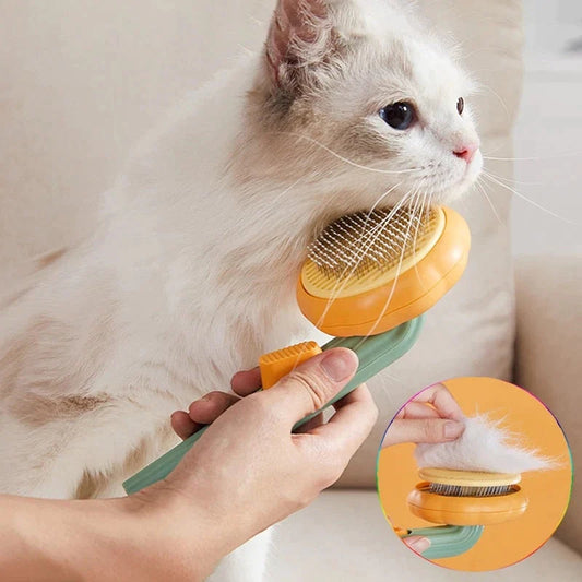Pumpkin Pet Brush