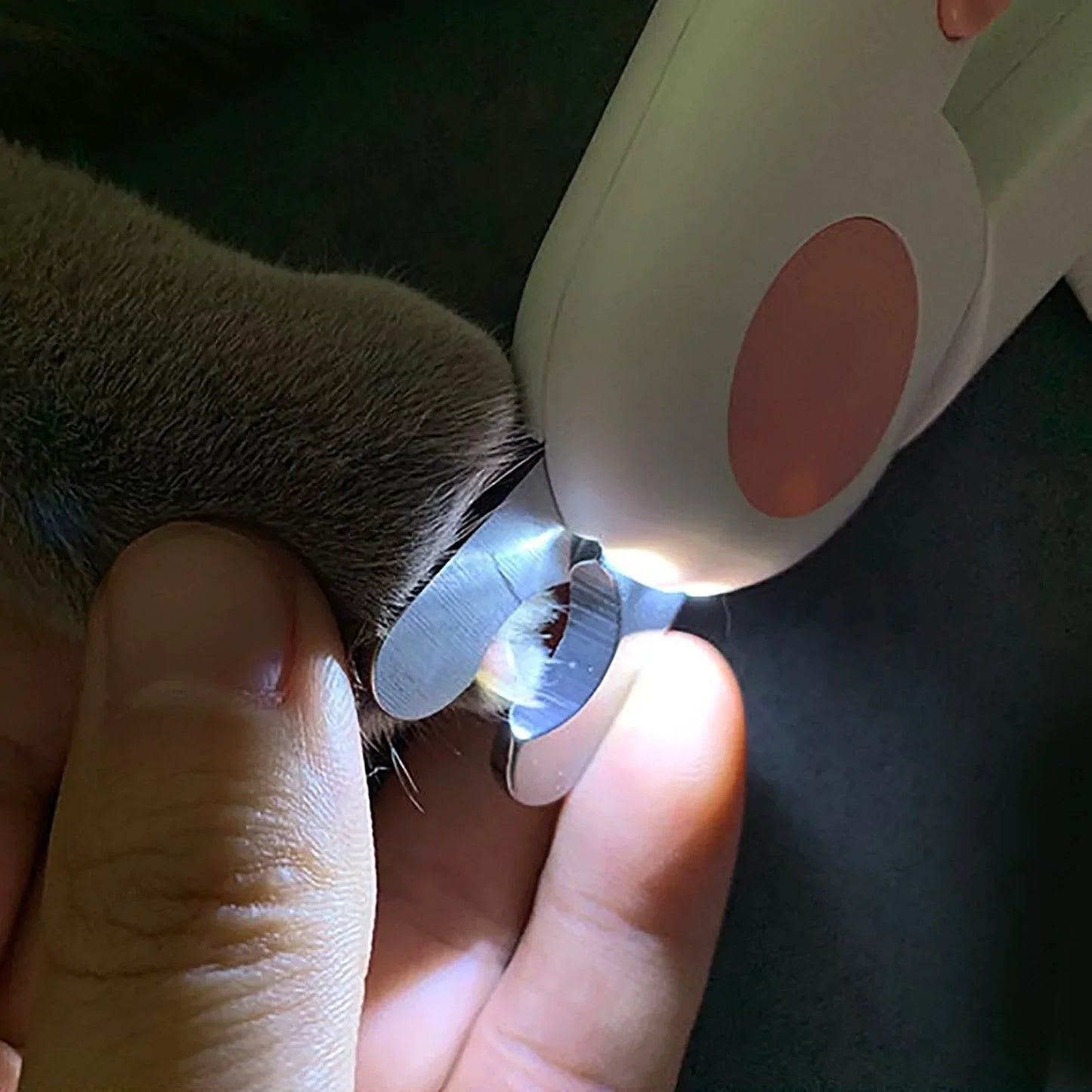 Professional Cat Nail Clipper