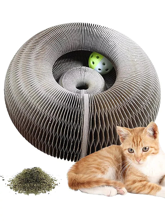 Magic Organ Cat Scratch Board