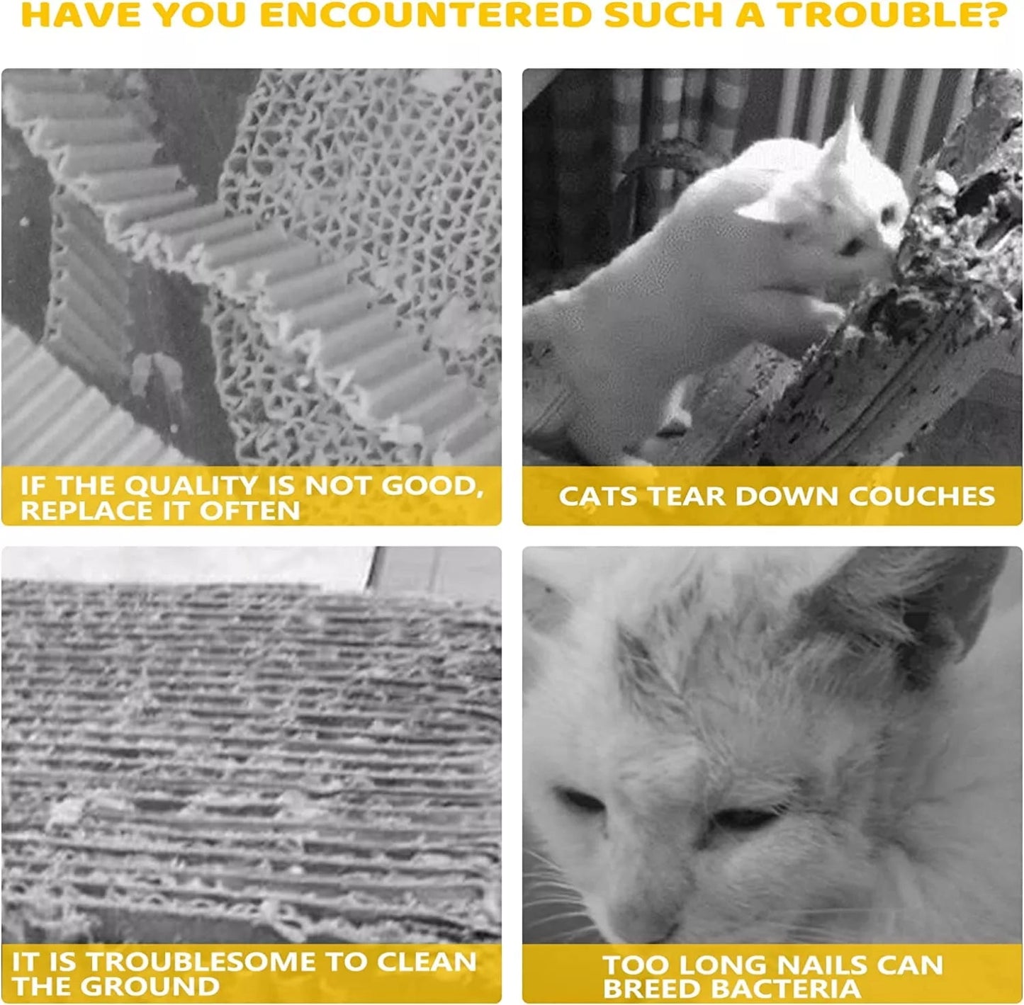 Magic Organ Cat Scratch Board