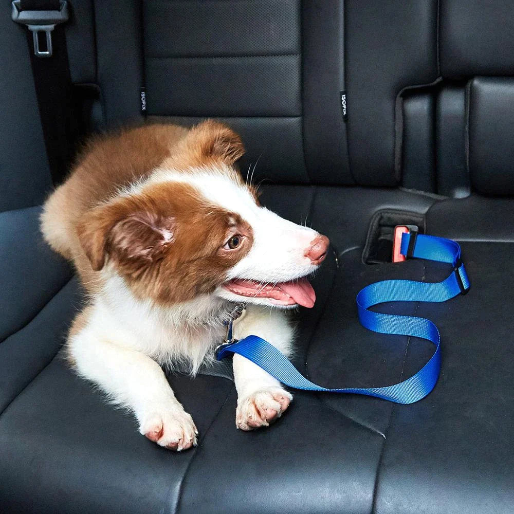 Pet Car Safety Belt