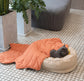 Dog Bed - Donut