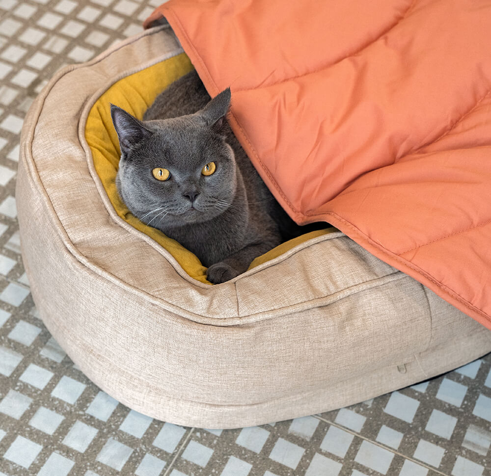 Dog Bed - Donut