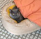 Dog Bed - Donut