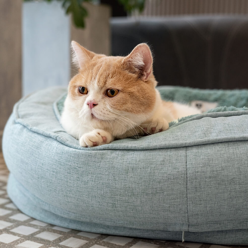 Dog Bed - Donut