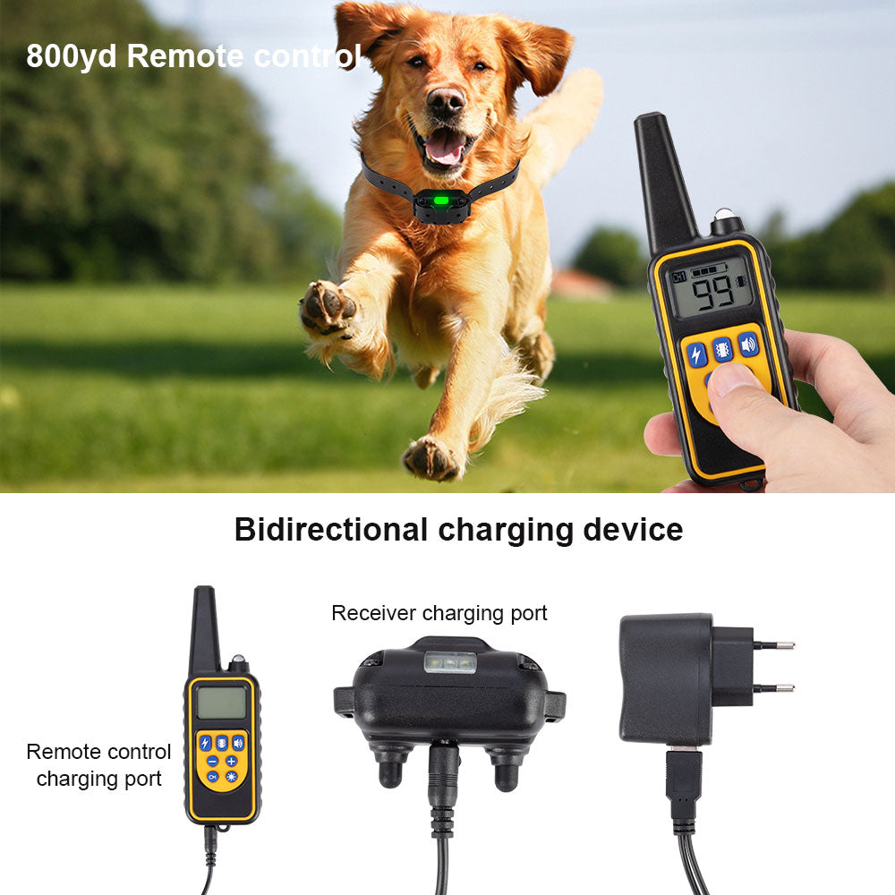 Pet Training Collar