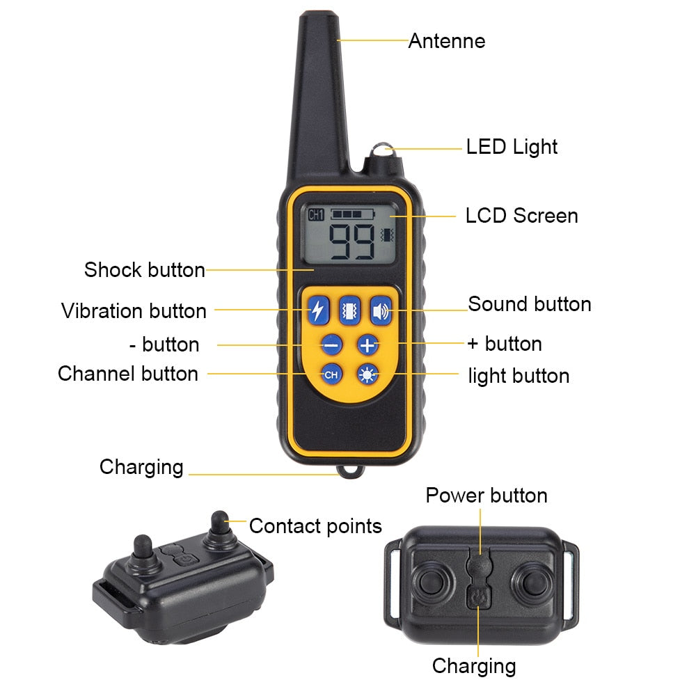 Pet Training Collar