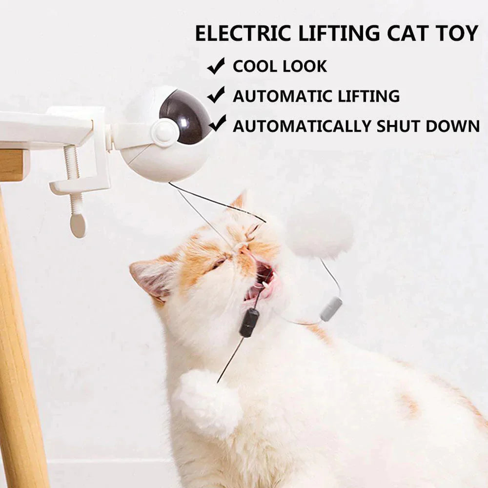 Automatic Lifting Cat Ball Toy