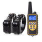 Pet Training Collar