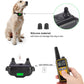 Pet Training Collar