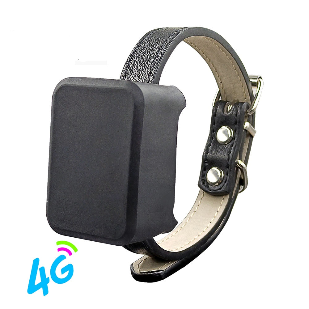 4G Mini GPS Tracker