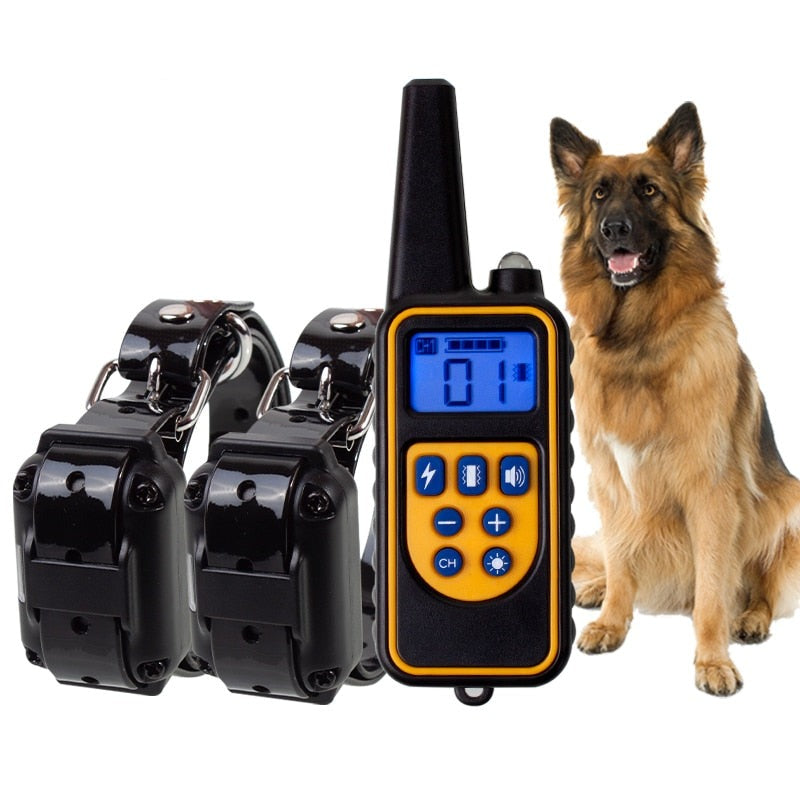 Pet Training Collar