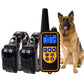 Pet Training Collar